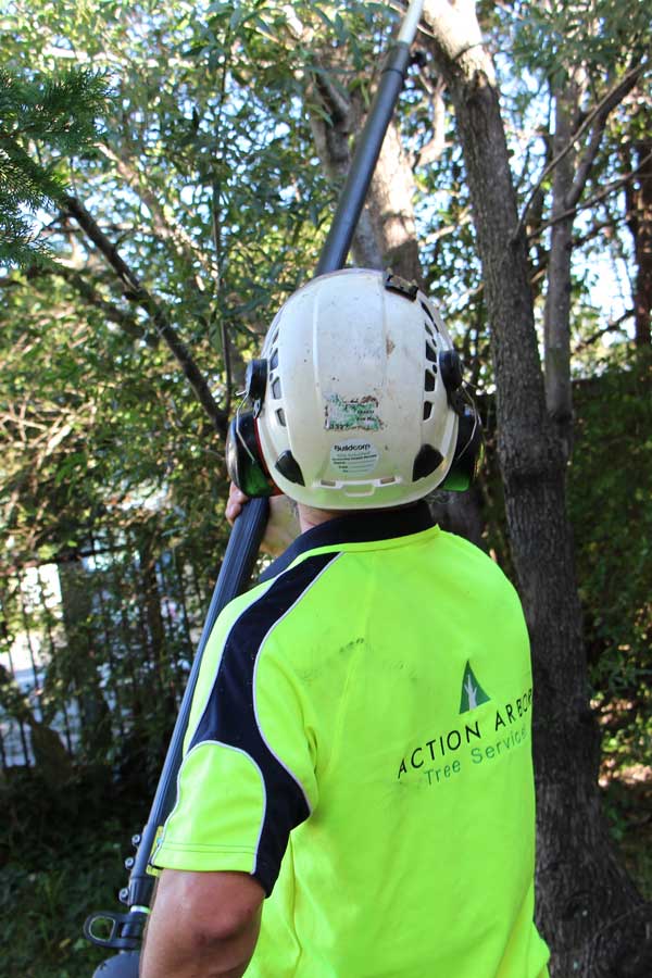 work-health-safety-management-action-arbor-tree-services